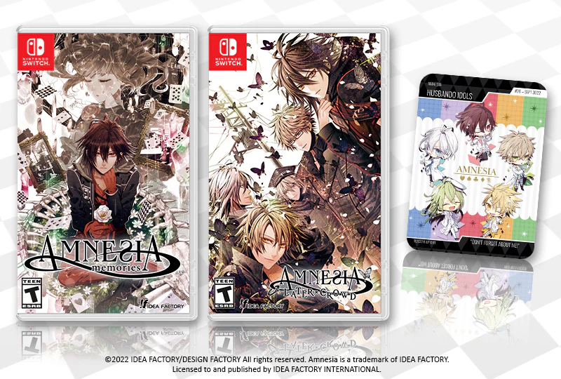 Amnesia Standard Edition - SOLD OUT!