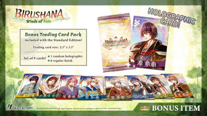 Birushana: Winds of Fate Standard Edition